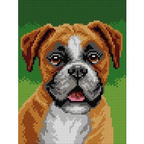 3333F Boxer 18x24 cm