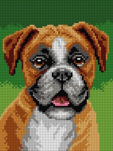 3333F Boxer 18x24 cm