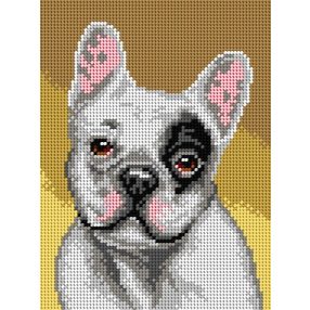 3335F Francia Bulldog 18x24 cm