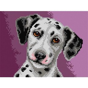 3337F Dalmata 18x24 cm