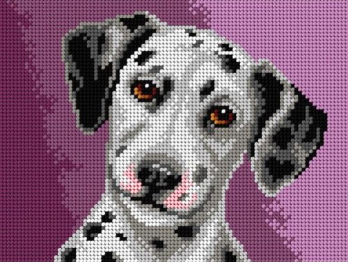 3337F Dalmata 18x24 cm