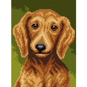 3338F Tacskó 18x24 cm