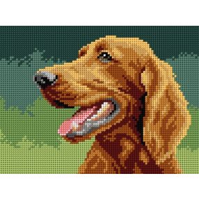 3341F Ír szetter 18x24 cm