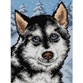 3343F Szibériai Husky 18x24 cm