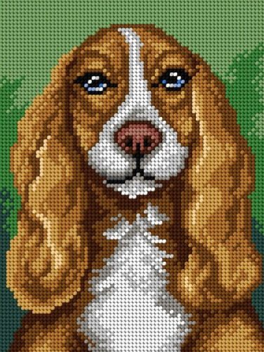 3352F Cocker Spaniel 18x24 cm