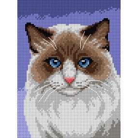 3361F Ragdoll 18x24 cm