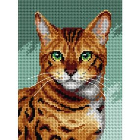 3362F Bengáli macska 18x24 cm