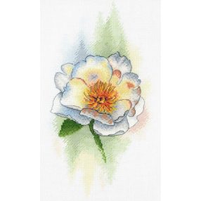 SA048 White Peony 28x16 cm