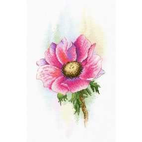 SA047 Pink Anemone 28x16 cm