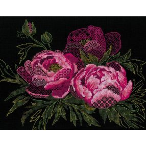 2024 Lace Peonies 30x24 cm
