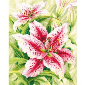 2000 Lilies 40x50 cm