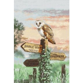 Leti 8031 Barn Owl 45x30 cm