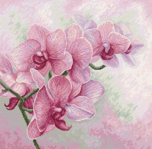 B7009 Elegáns orchideák 25x25 cm