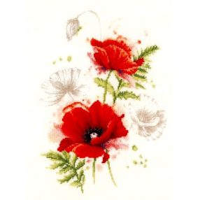 PN-0196178 Poppies 23x31 cm