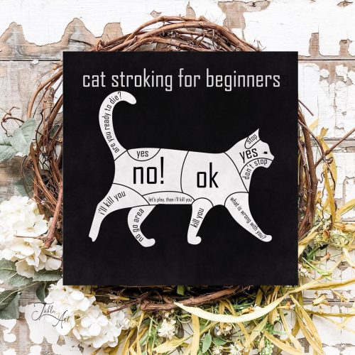 2292 Cat stroking for beginners 