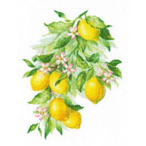 2054 Bright Lemons 30x40 cm