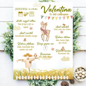 2305 Az első szülinapom - madárijesztő 