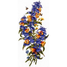 SNV778 Melampyrum nemorosum 19x41 cm