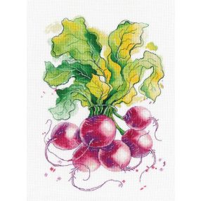 S1481 Radish 20x31 cm