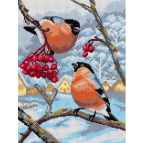 3427 Vörösbegyek 30x40 cm