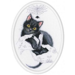 M905 Cat magic 16,5x25 cm