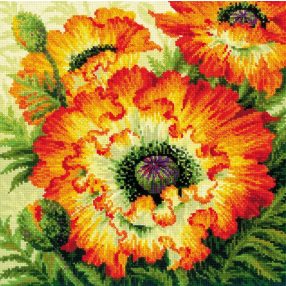 2080 Fire Poppies 40x40 cm