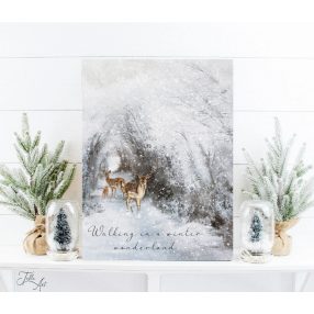 2443 Walking in a winter wonderland 