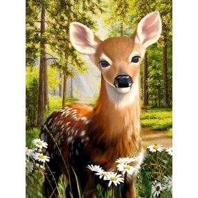 VA036 Deer in the forest 40x30 cm