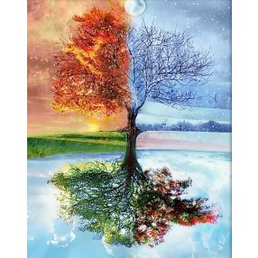 AM4068 Four seasons 40x50 cm