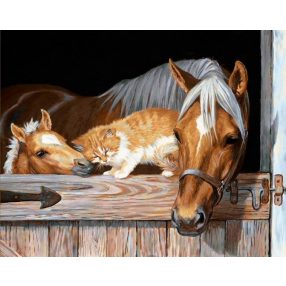 AM4055 Kitten and Horses 50x40 cm
