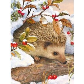 AM4036 Hedgehog and cowberry 30x40 cm