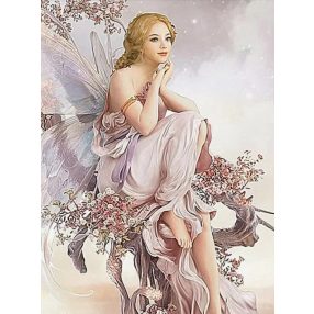 AM4020 Gentle Fairy 30x40 cm