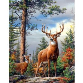 AM4008 Deer on the slope 40x50 cm