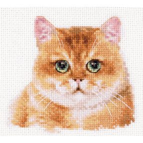 1-36 Teddy Cat 12x11 cm