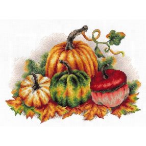 SNV789 Colorful pumpkins 18x26 cm