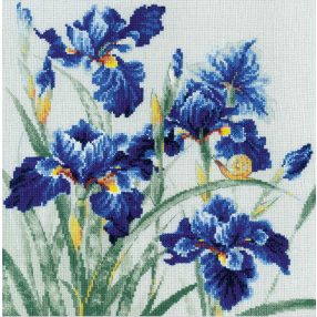 2102 Blue Irises 30x30 cm