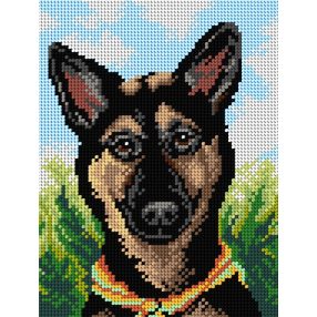 3449 Németjuhász 18x24 cm