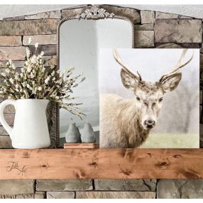 2136 Barna szarvas akvarell 2. 