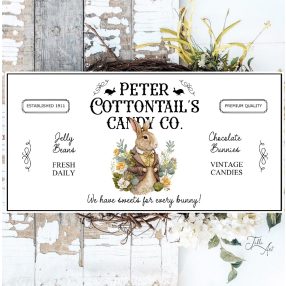 2495 We have sweets for every bunny 