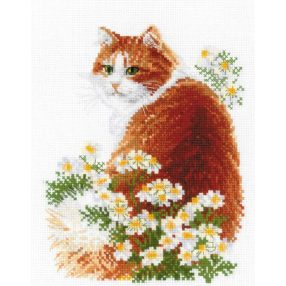 2110 Ginger Meow 24x30 cm