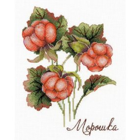 SNV815 Gifts of nature. Cloudberry 12x17 cm