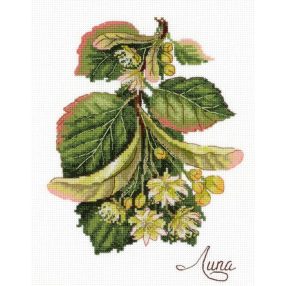 SNV810 Gifts of nature Linden 12x17 cm