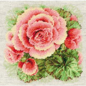 2122 Begonia 22x22 cm