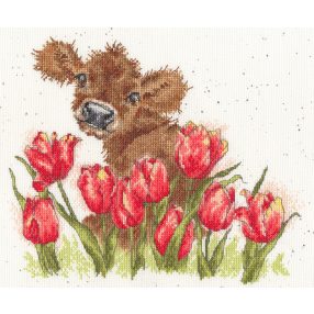 XHD124 Hannah Dale - Bessie 24x29 cm