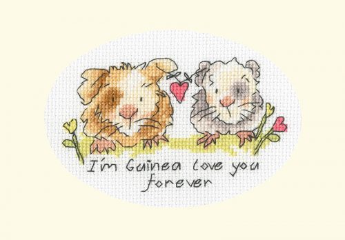 XGC41 Eleanor Teasdale - I'm Guinea Love You Forever 13x9 cm