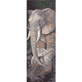 PN-0008232 Protective care 17x50 cm