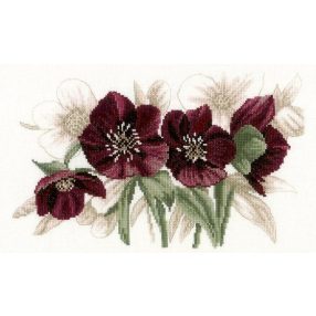 PN-0021206 Hellebores 28x17 cm