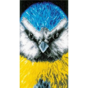 PN-0200490 Close-up Blue tit 14x26 cm