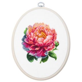 BC205 Lágyszárú bazsarózsa 12 cm