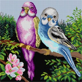 3585 Hullámos papagájok 40x40 cm